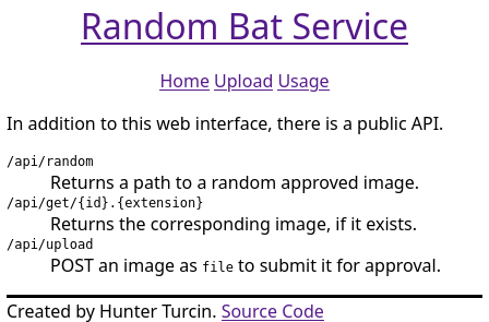The API usage instructions for the Random Bat Service